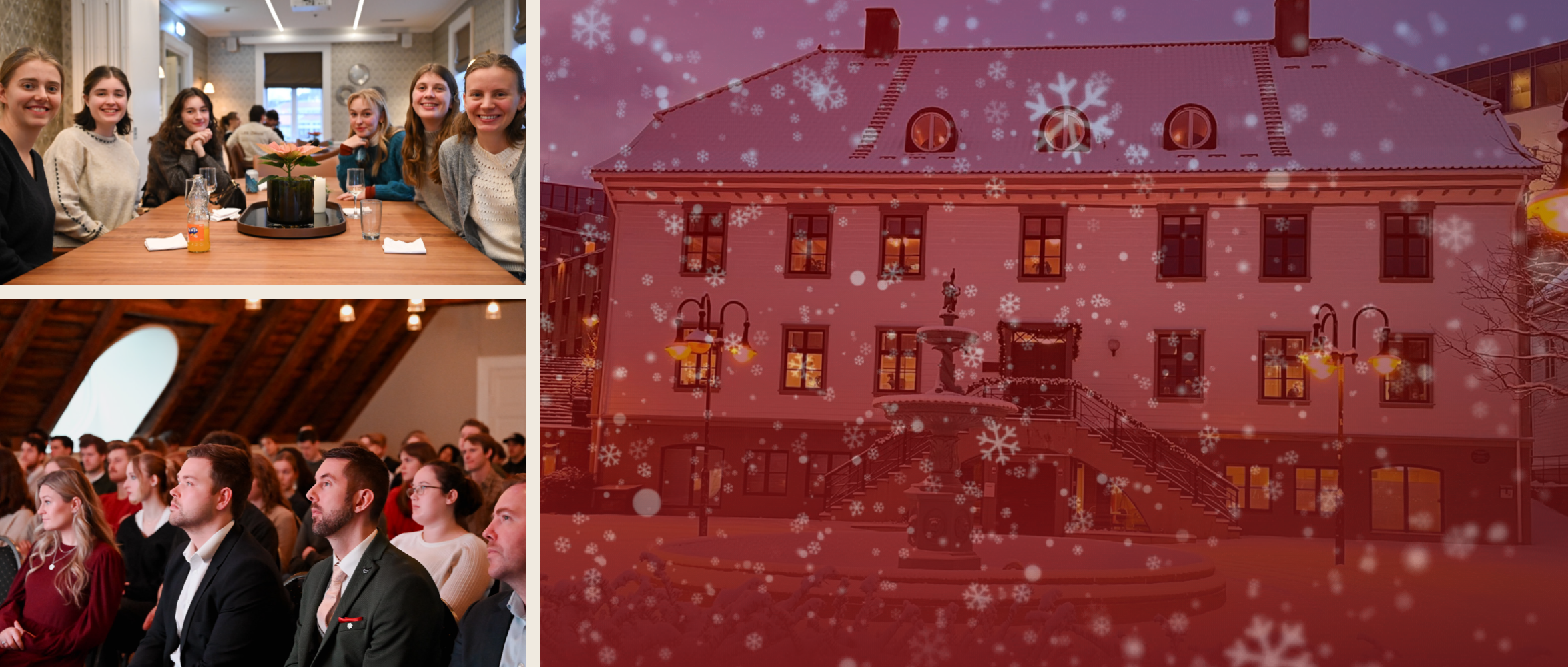 God jul, student!