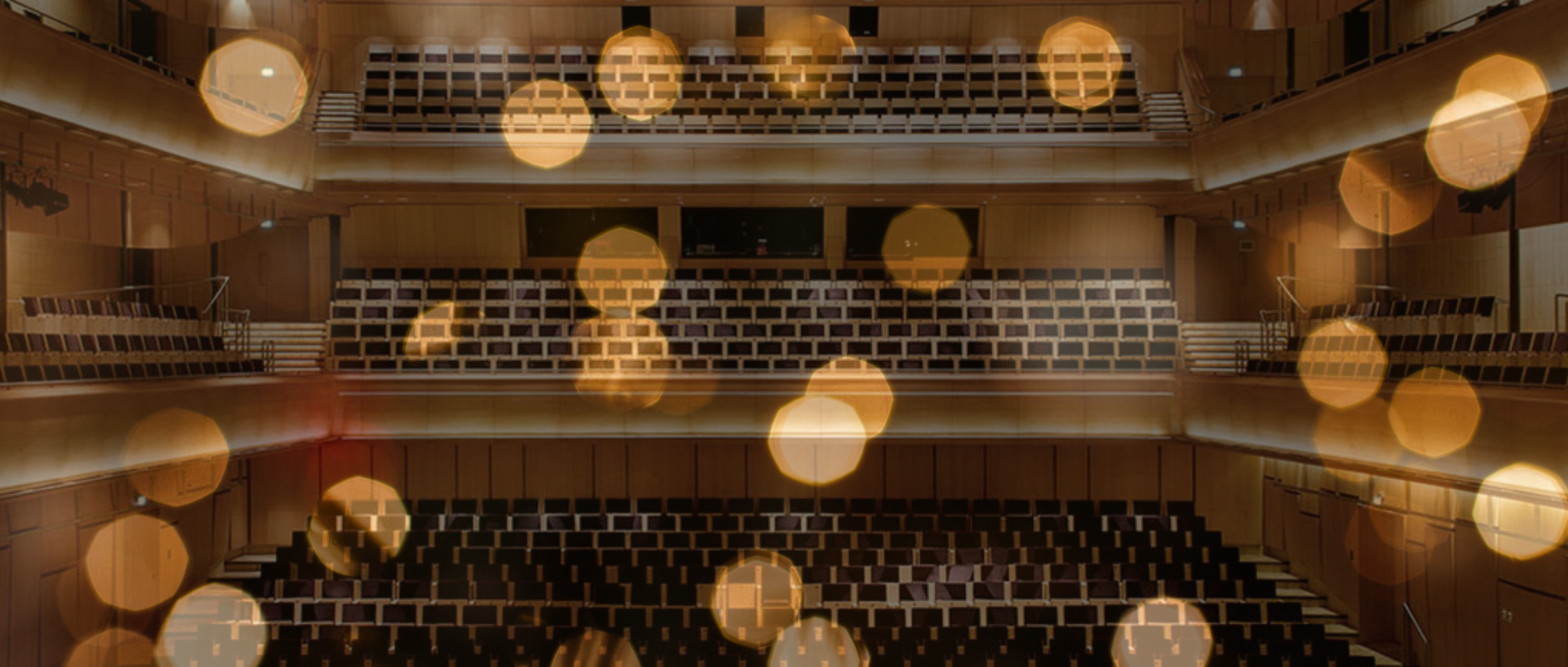 New years Concert with SSO